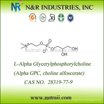 Alpha GPC Pulver CAS 28319-77-9